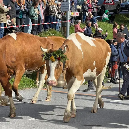 Alpe Des Chaux 304-27 * Gryon