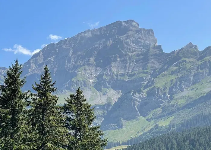 Alpe Des Chaux 304-27 * Gryon