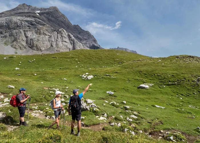 Alpe Des Chaux 304-27 *