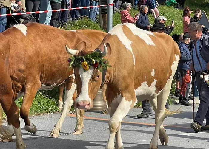 Alpe Des Chaux 304-27 * Gryon