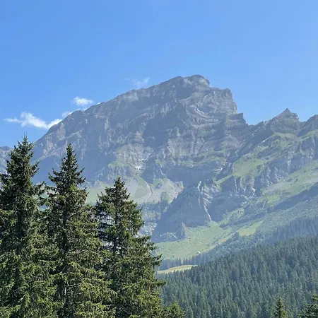 Alpe Des Chaux 304-27 * Грион