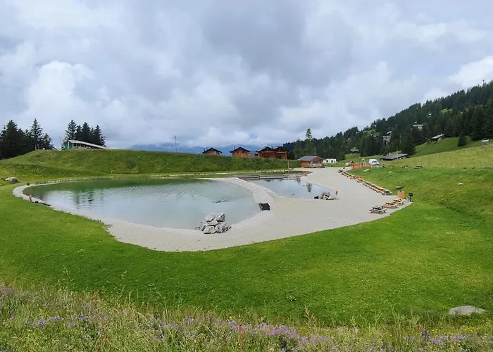 Alpe Des Chaux 304-27 Gryon